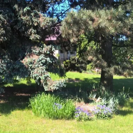 Ohrazenice 103 公寓 图尔诺夫