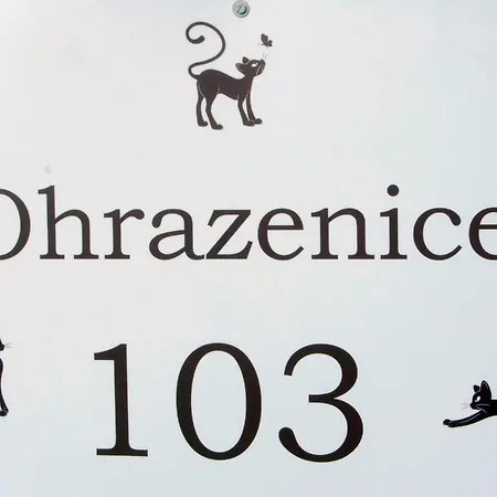 Ohrazenice 103 トゥルノフ