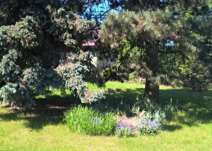 Ohrazenice 103 公寓 图尔诺夫