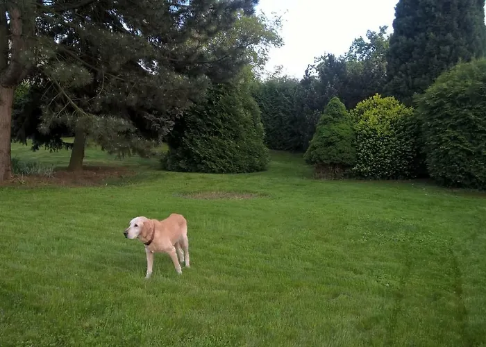 Ohrazenice 103 * 图尔诺夫