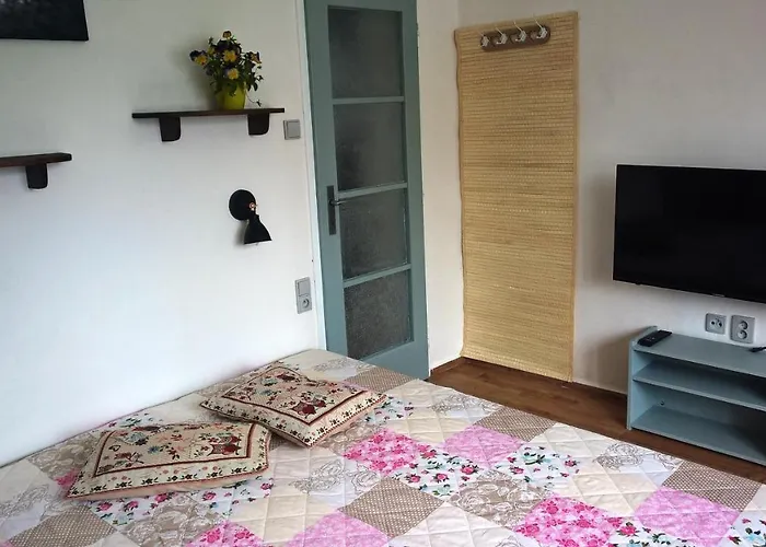 公寓 Ohrazenice 103 图尔诺夫