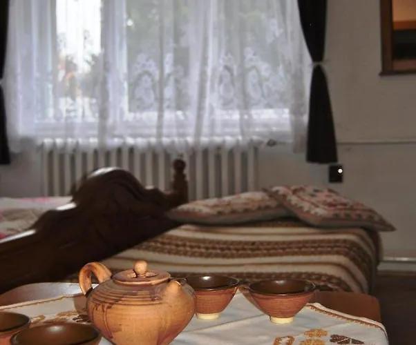 公寓 Ohrazenice 103 图尔诺夫