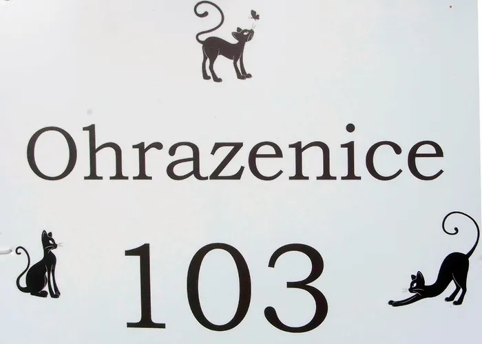 Ohrazenice 103 图尔诺夫